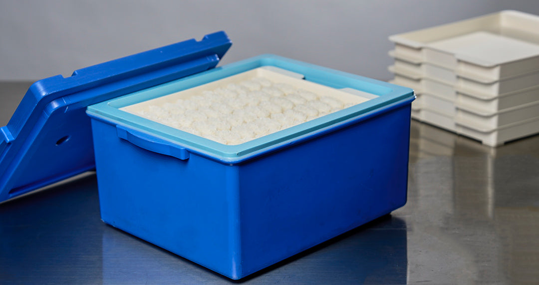 Rice Tray - 20 pcs