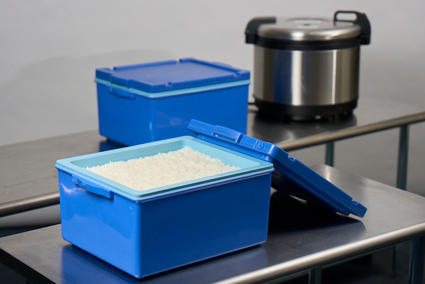 Rice Container - 2pcs